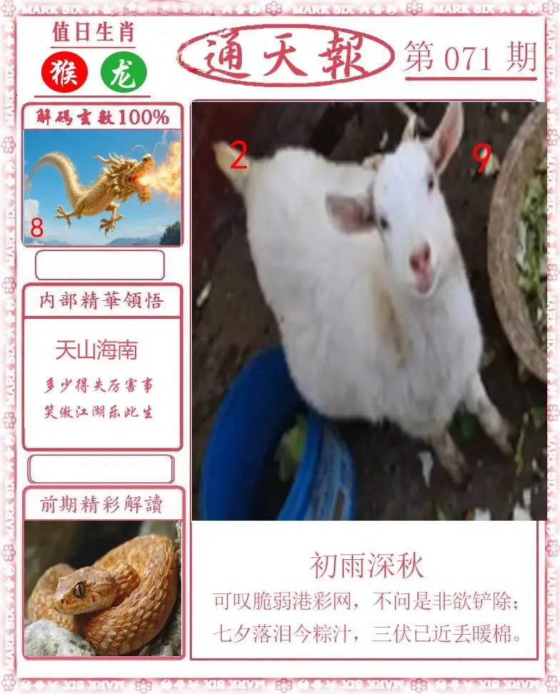正版通天报