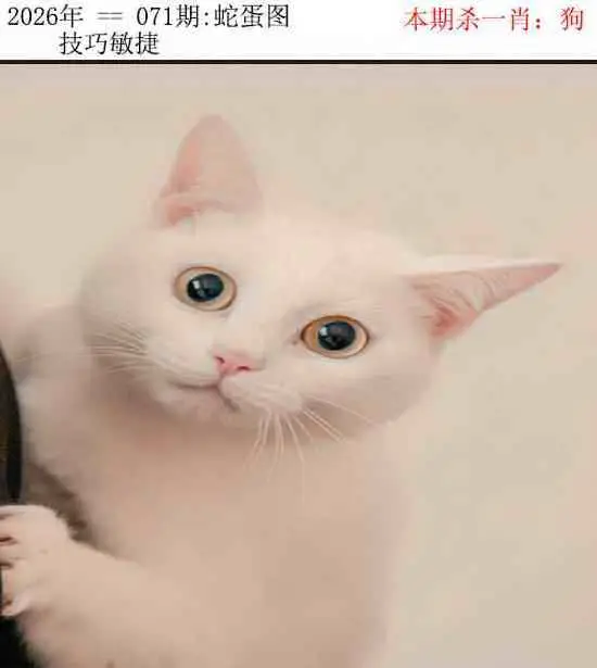 正版蛇蛋图