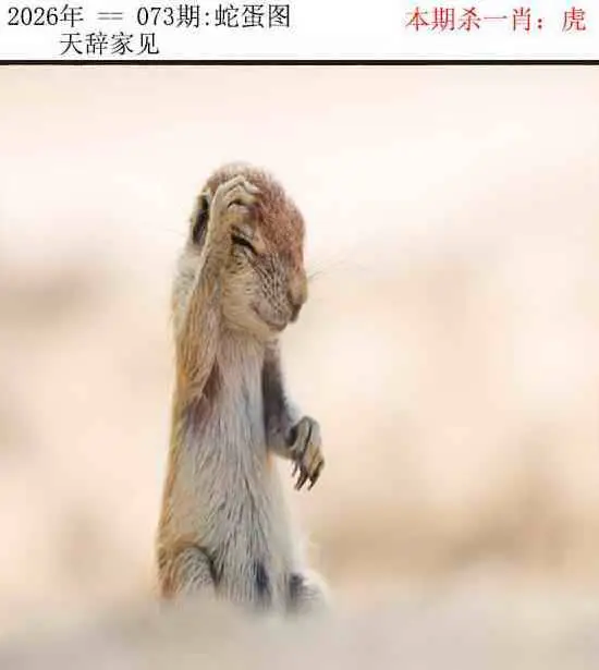 正版蛇蛋图