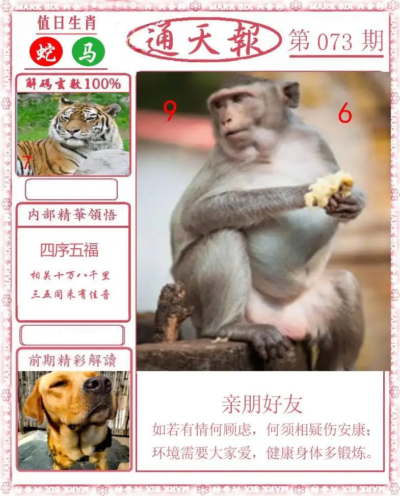 正版通天报