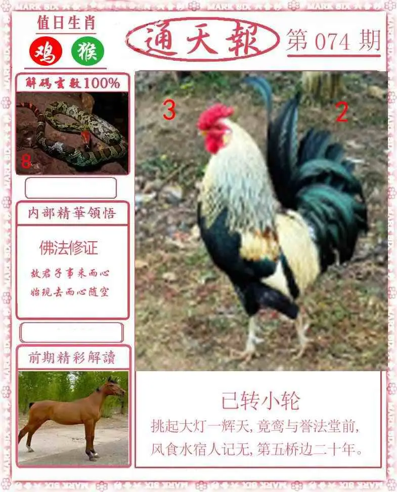 正版通天报