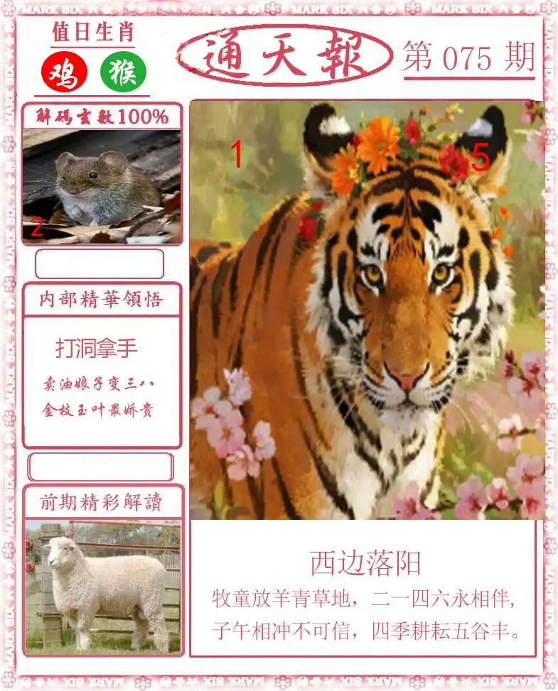 正版通天报