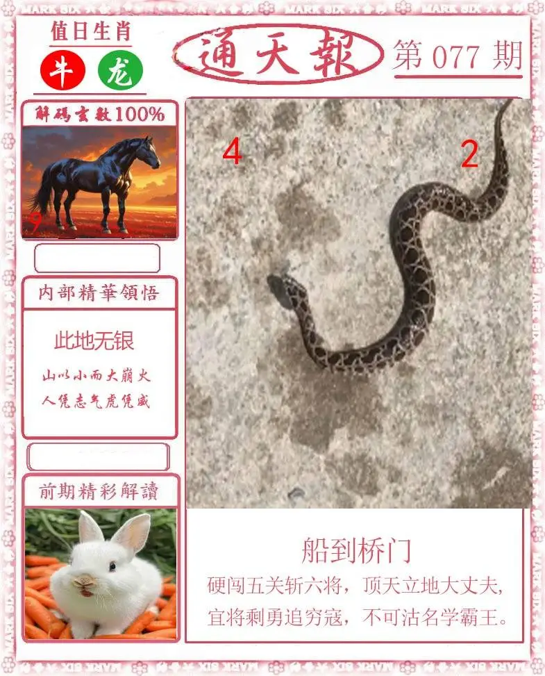 正版通天报