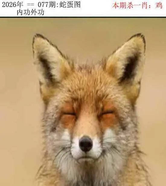 正版蛇蛋图