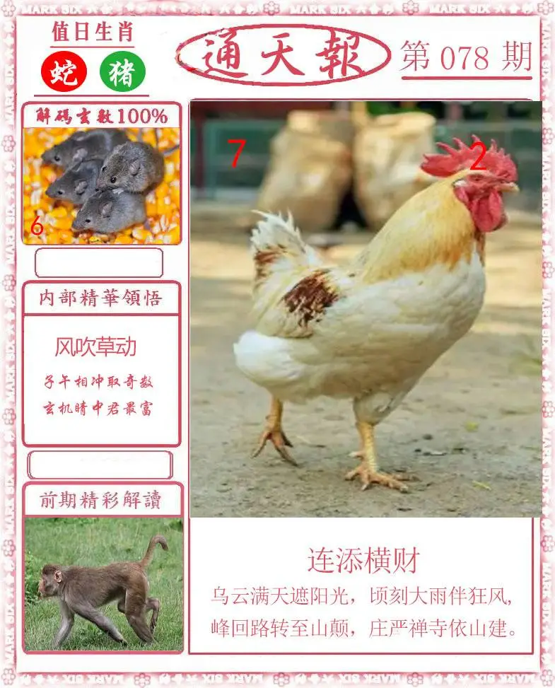 正版通天报
