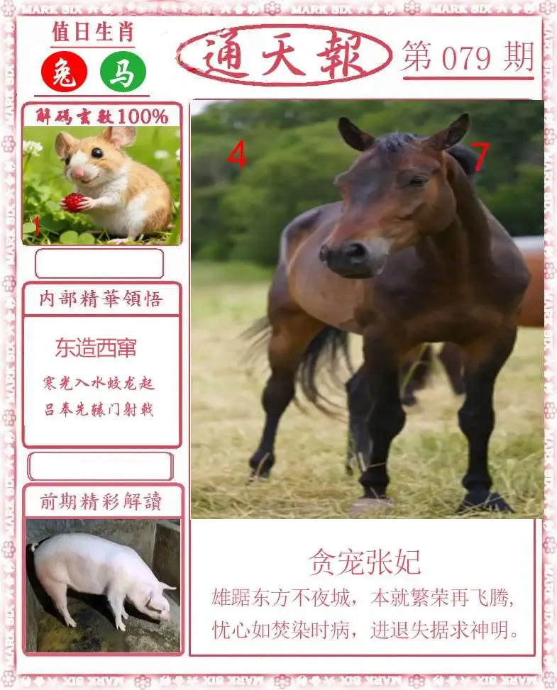 正版通天报