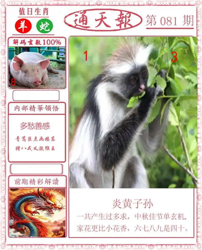 正版通天报