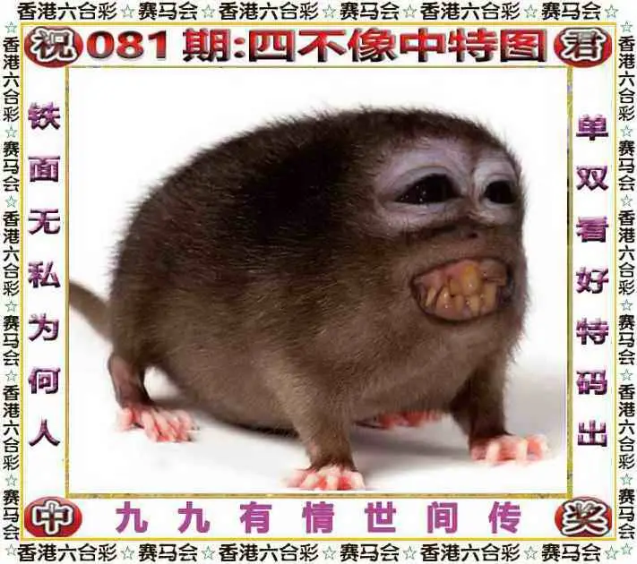 正版四不像