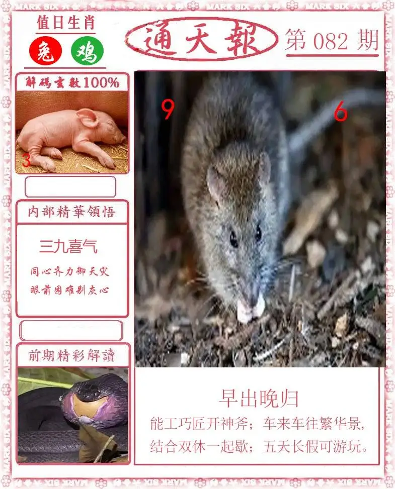 正版通天报