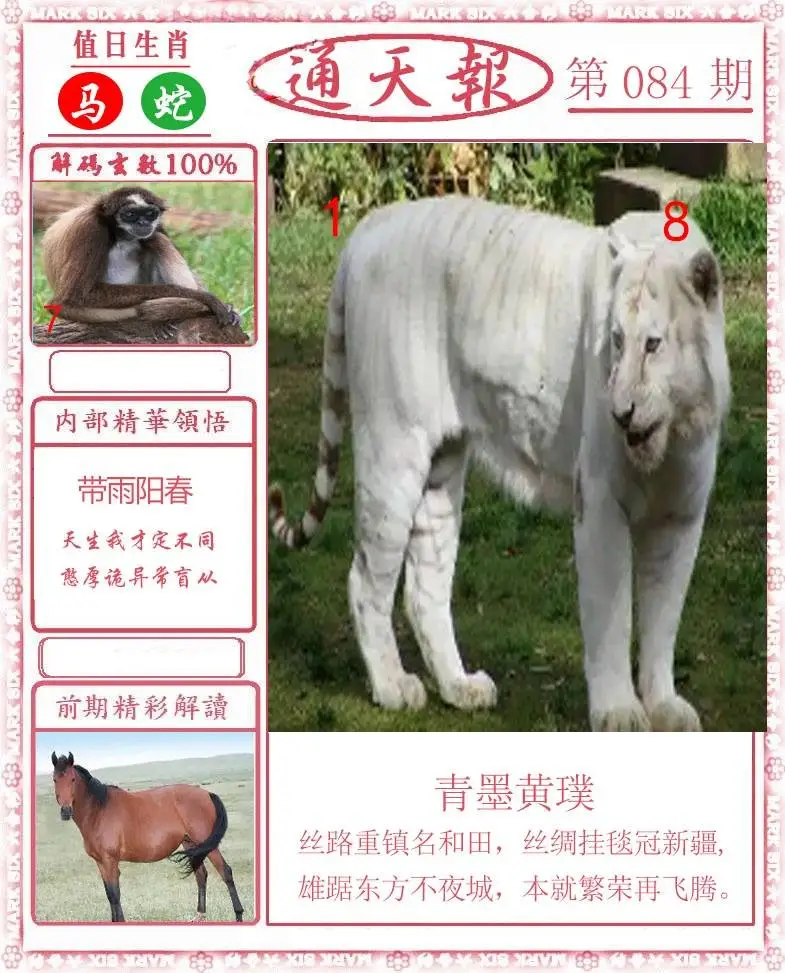 正版通天报