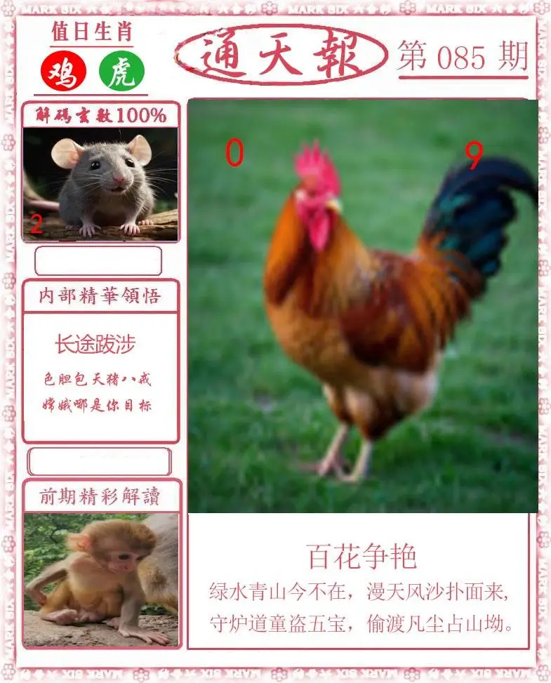 正版通天报