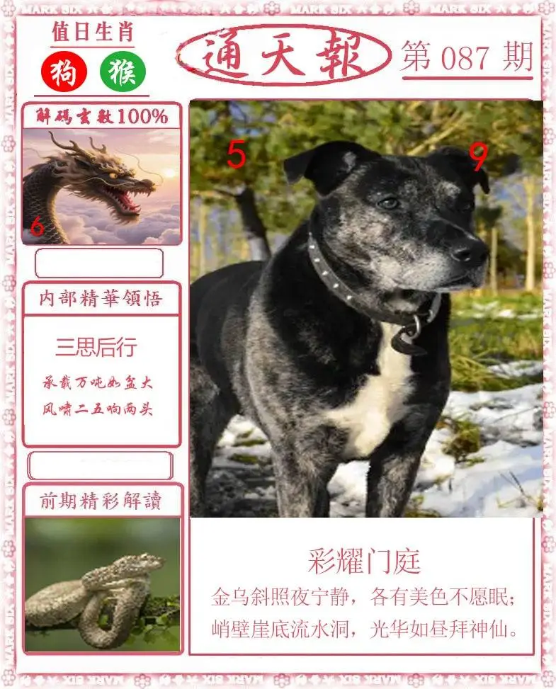 正版通天报