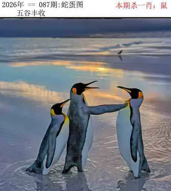 正版蛇蛋图