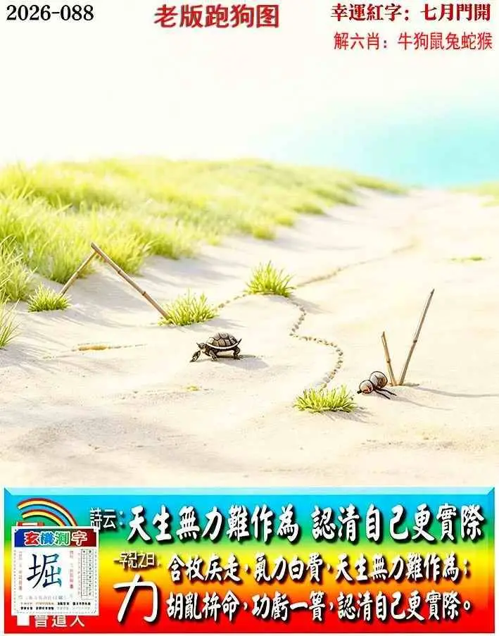 老版跑狗图