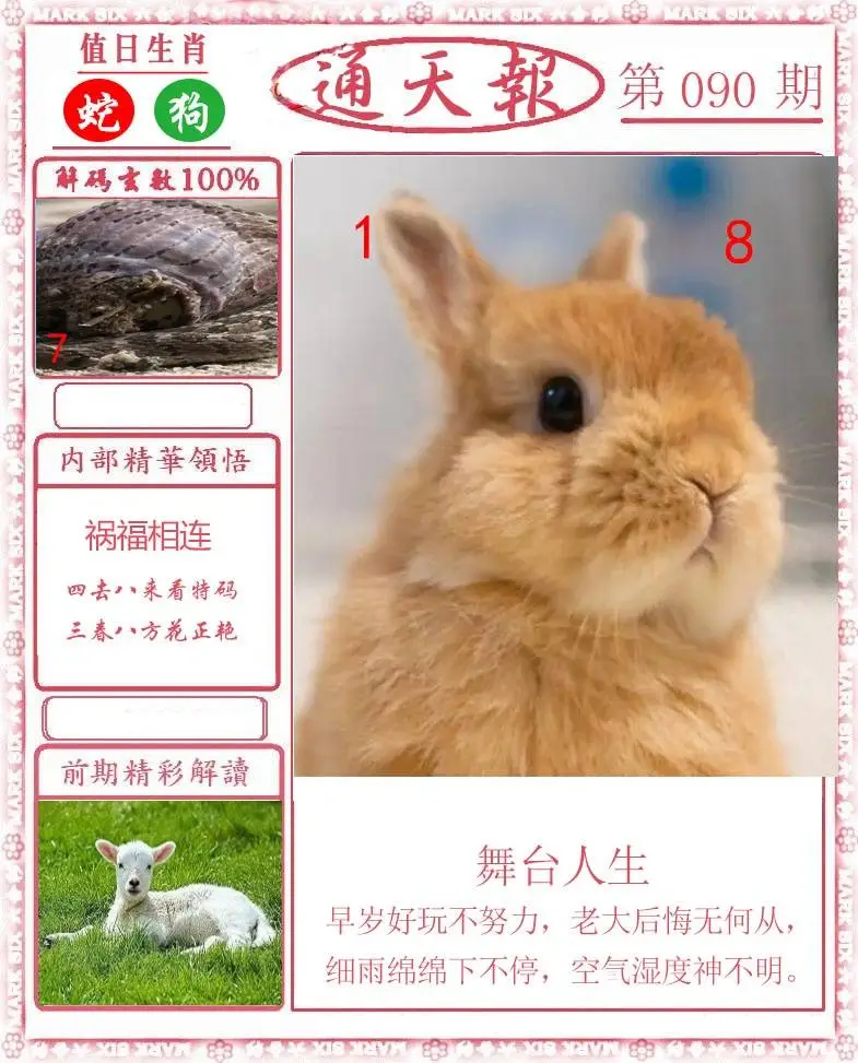 正版通天报