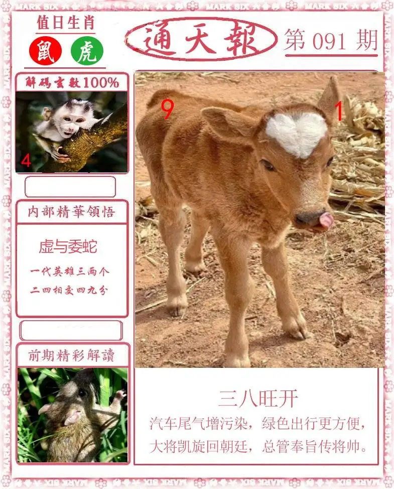 正版通天报