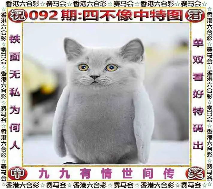 正版四不像