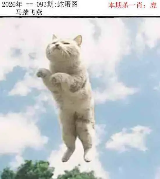正版蛇蛋图