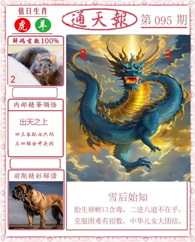 正版通天报