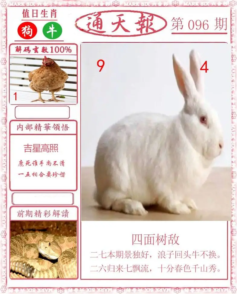 正版通天报