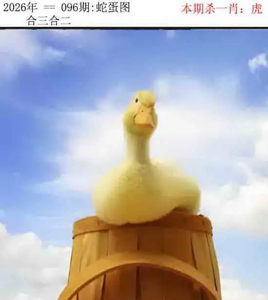 正版蛇蛋图