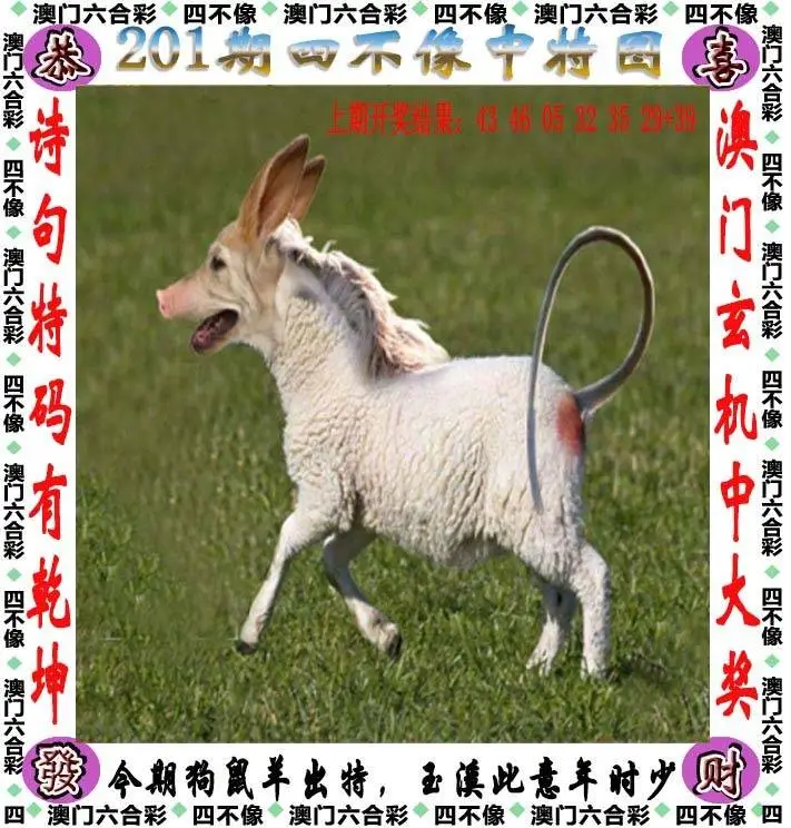 四不像中特图