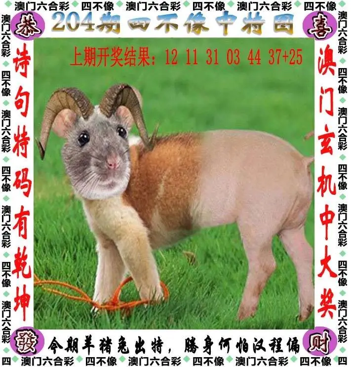 四不像中特图