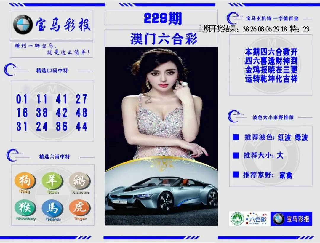 宝马彩报
