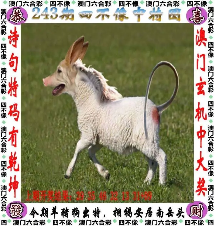 四不像中特图